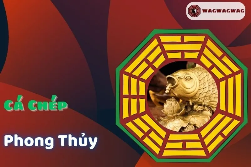 Cá Chép Phong Thuỷ: Ý Nghĩa, Cách Đặt Đúng và Những Điều Kiêng Kỵ
