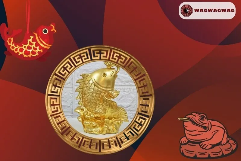 Cá chép phong thuỷ và các khía cạnh cuộc sống