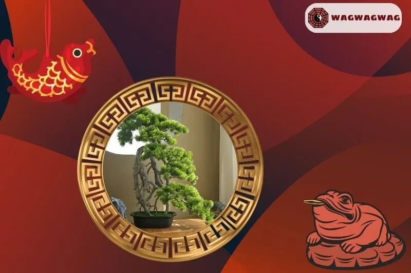 Cách Chọn Cây Bonsai Phong Thuỷ Theo Mệnh