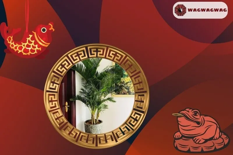 Cách trồng cây cau cảnh phong thủy tại nhà