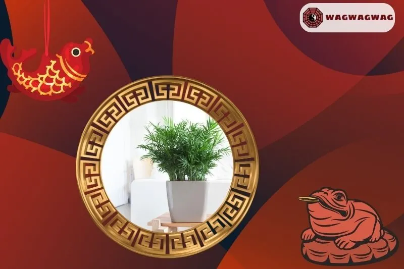 Cách Chăm Sóc và Trồng Cây Cau Tiểu Trâm Để Phát Triển Tốt