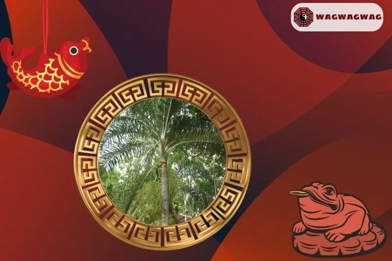 Cách trồng cây cau vua phong thủy