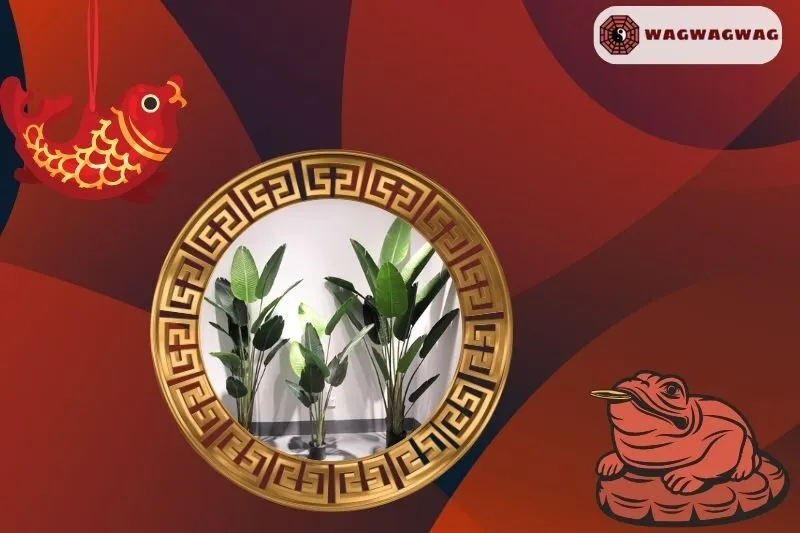 Cách trồng cây chuối cảnh phong thuỷ tại nhà