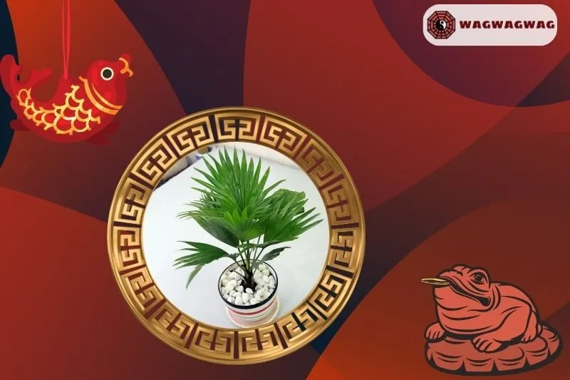 Cách Trồng và Chăm Sóc Cây Cọ Cảnh Đúng Cách