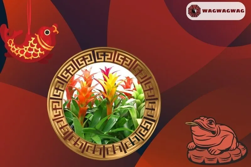 Cách Trồng và Chăm Sóc Cây Dứa Cảnh Nến