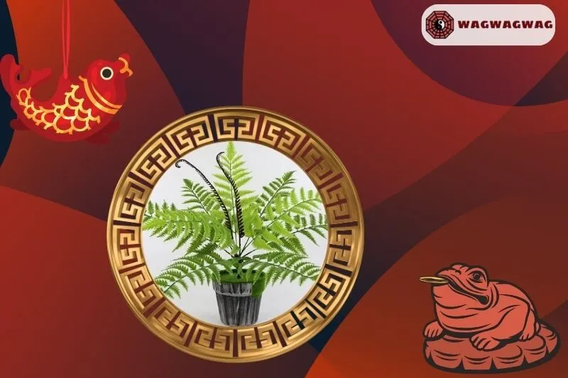 Cách trồng và chăm sóc cây dương xỉ phong thuỷ