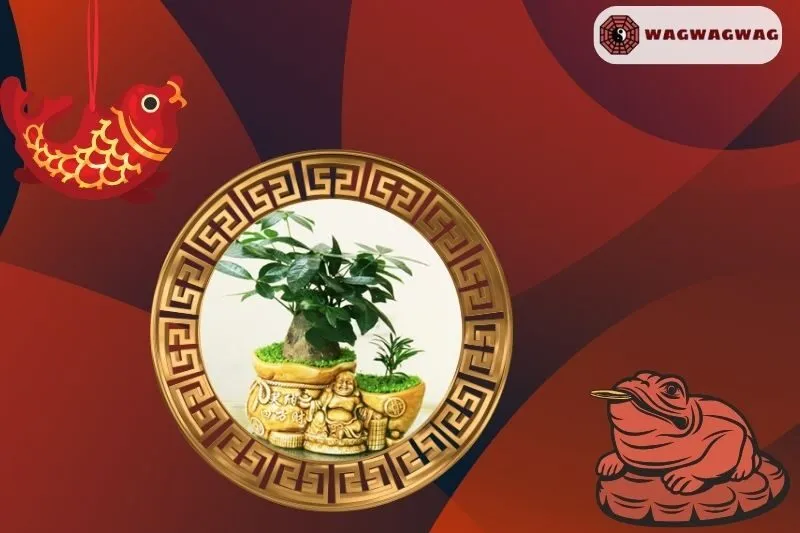 Cách trồng cây kim ngân