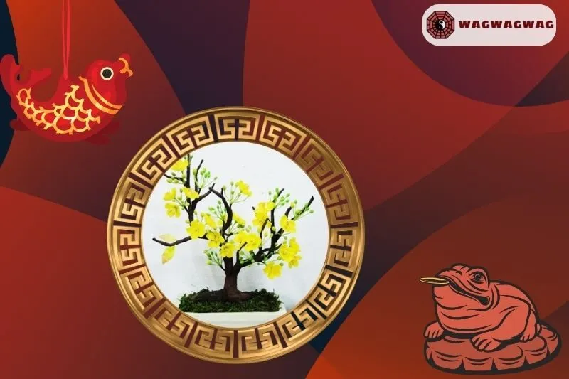 Cách trồng và chăm sóc cây mai vàng phong thủy