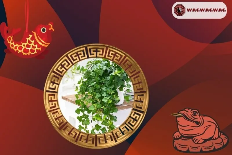 Hướng Dẫn Cách Chăm Sóc Cây Thường Xuân Để Phát Triển Khỏe Mạnh