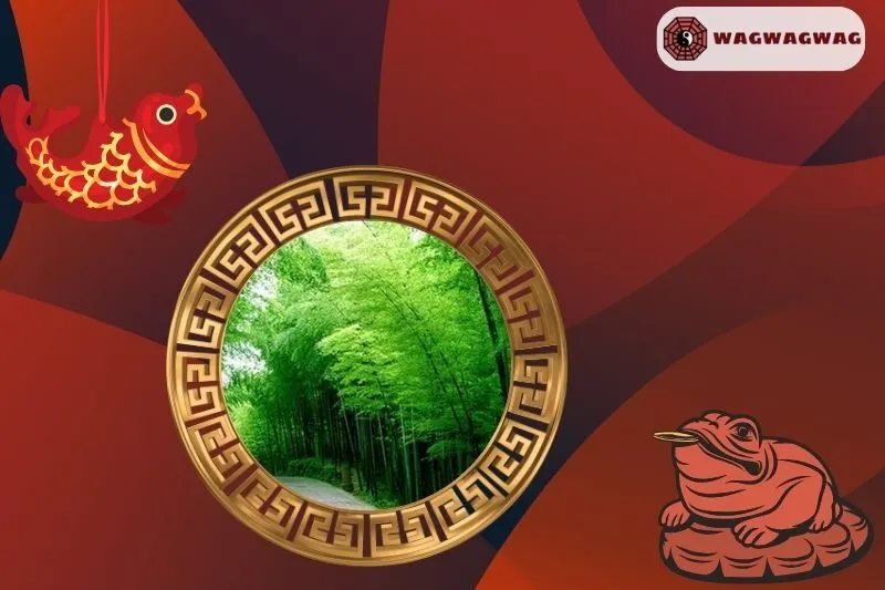 Cách trồng cây tre phong thủy đúng cách