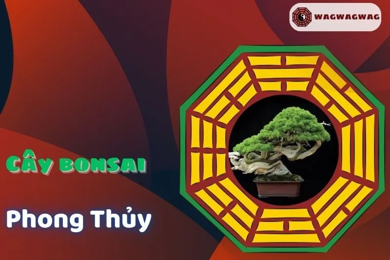 Cây Bonsai Phong Thuỷ: Ý Nghĩa, Cách Trồng Và Hợp Mệnh | WAGWAGWAG