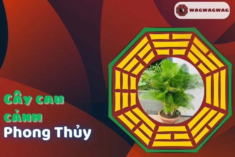 Khám Phá Ý Nghĩa Và Cách Trồng Cây Cau Cảnh Phong Thủy