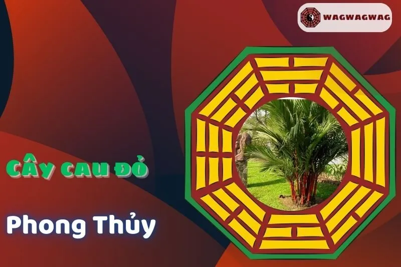 Cây Cau Đỏ Phong Thủy: Ý Nghĩa, Cách Trồng và Hợp Mệnh Nào