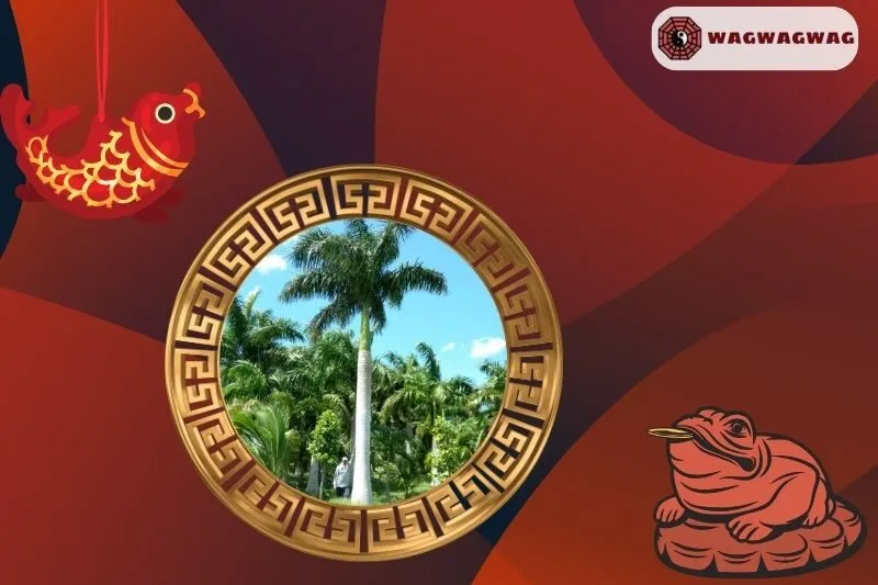 Cây cau vua phong thủy hợp mệnh gì?