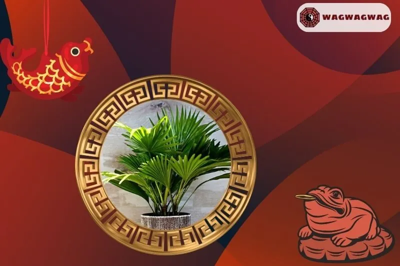 Cây Cọ Cảnh Phong Thủy Hợp Với Mệnh Gì?