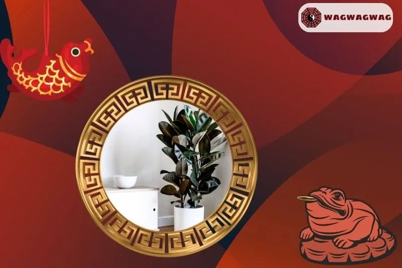 Cây đa búp đỏ hợp mệnh nào?