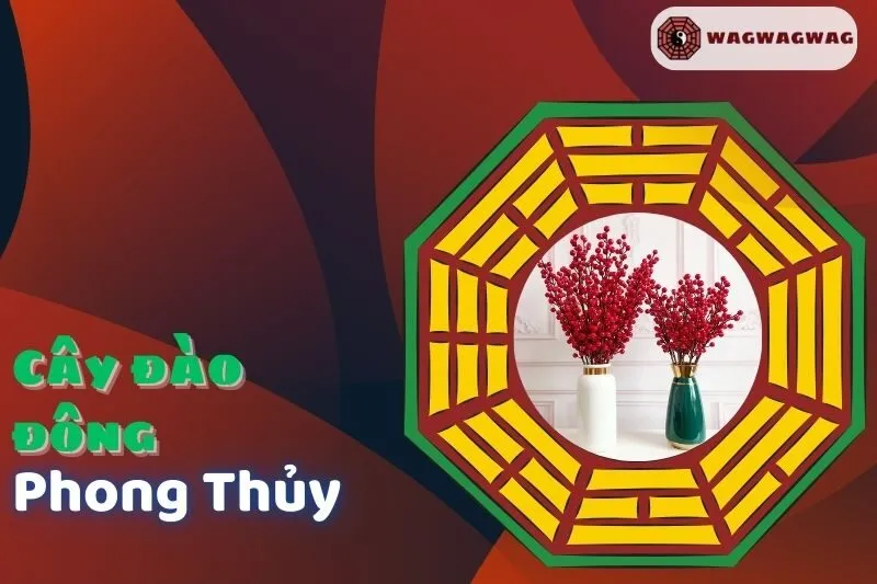 Cây Đào Đông Phong Thủy: Ý Nghĩa, Cách Trồng và Hợp Mệnh Nào