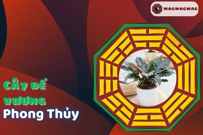 Cây Đế Vương Phong Thủy: Ý Nghĩa, Cách Trồng và Hợp Mệnh