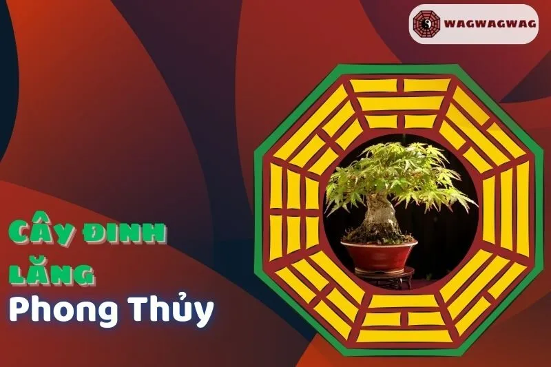 Cây Đinh Lăng Phong Thủy: Ý Nghĩa, Cách Trồng và Chăm Sóc