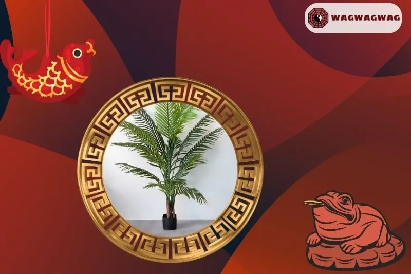 Cây dừa cảnh phong thủy hợp mệnh nào, tuổi nào?