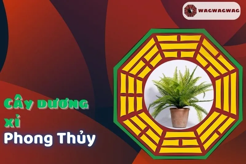 Cây dương xỉ phong thuỷ: Ý nghĩa, cách trồng và hợp mệnh nào