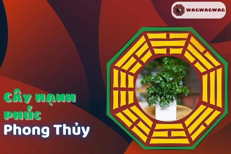 Cây Hạnh Phúc Phong Thuỷ: Ý Nghĩa, Chăm Sóc & Trang Trí Nội Thất - Wagwagwag