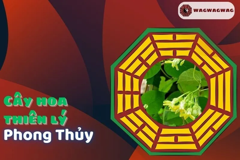 Ý nghĩa và cách trồng cây hoa thiên lý phong thủy tại nhà