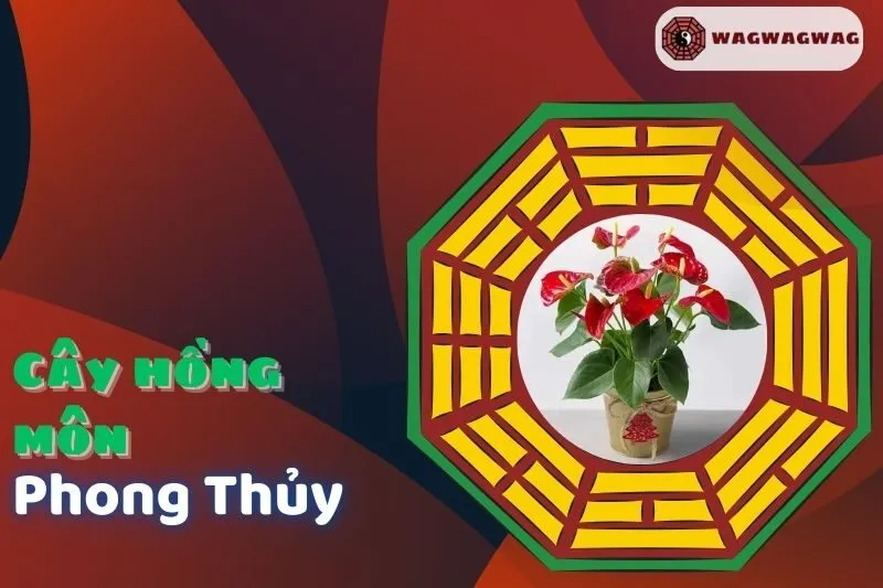 Cây Hồng Môn Phong Thủy: Ý Nghĩa, Cách Trồng & Hợp Mệnh Hỏa | Wagwagwag