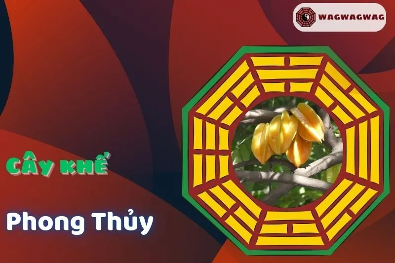 Ý nghĩa và cách trồng cây khế phong thủy mang lại tài lộc