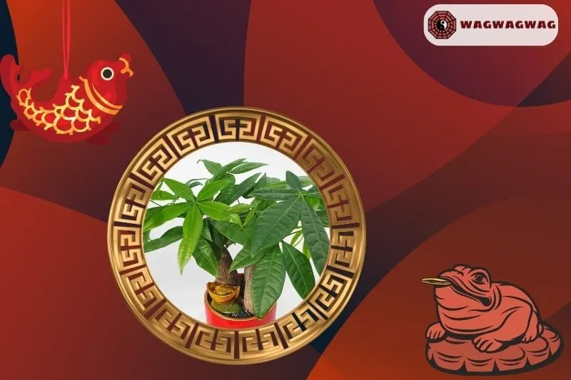 Cây kim ngân hợp mệnh nào?