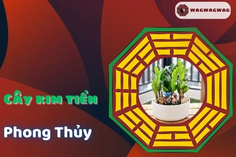Cây Kim Tiền Phong Thuỷ: Ý Nghĩa và Cách Đặt Hút Tài Lộc