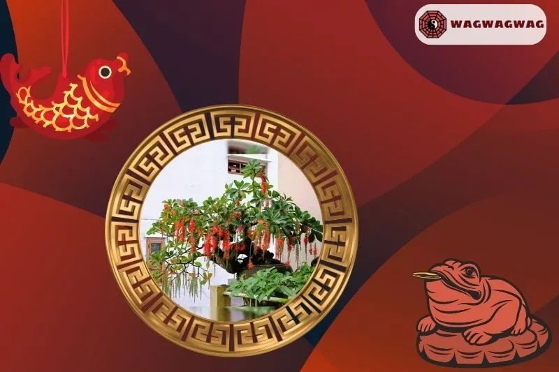 Cây lộc vừng hợp mệnh nào và phù hợp với tuổi nào?