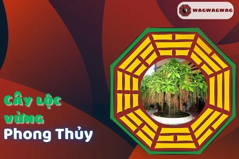 Cây Lộc Vừng Phong Thuỷ: Ý Nghĩa, Cách Trồng và Hợp Mệnh Nào?