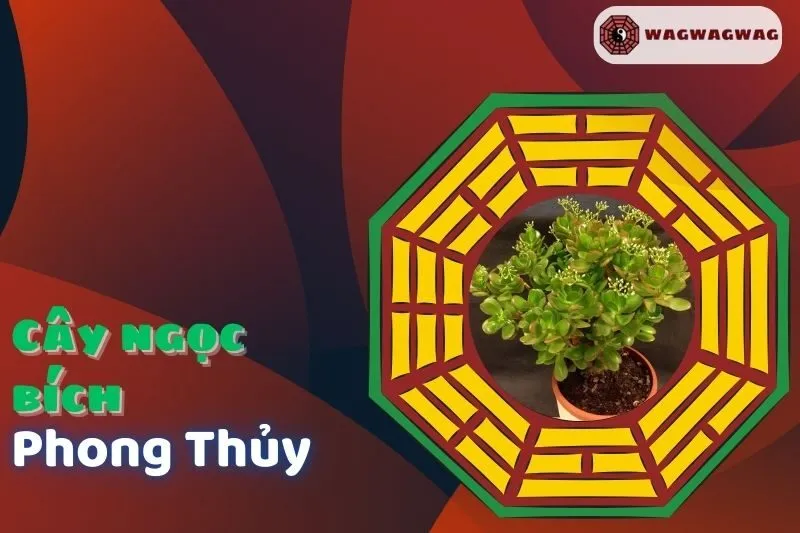 Cây Ngọc Bích Phong Thủy: Ý Nghĩa, Cách Trồng Và Chăm Sóc