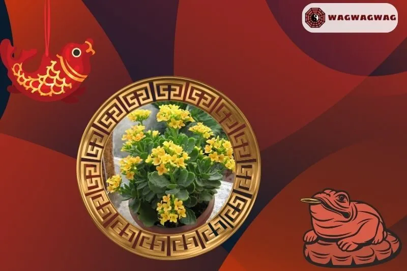 Cây Sống Đời Hợp Mệnh Nào?