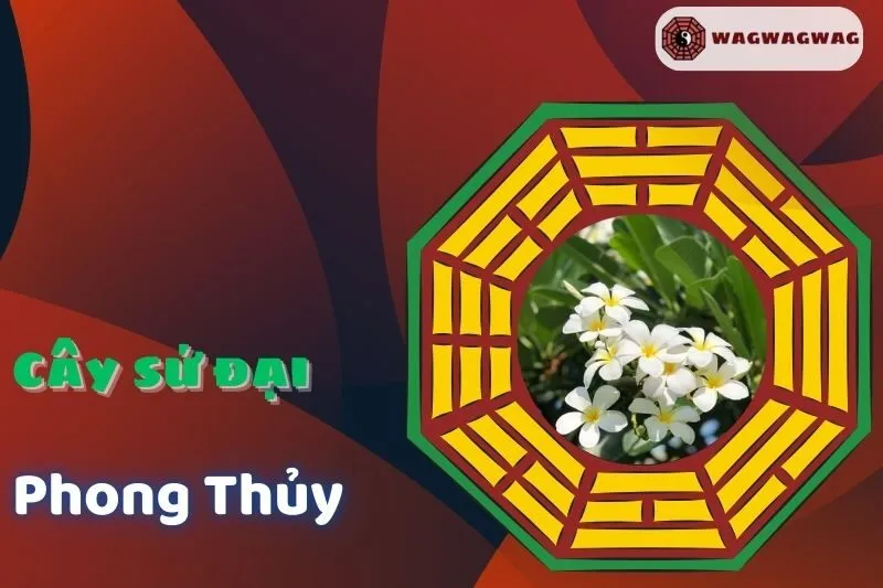 Cây Sứ Đại Phong Thủy: Ý Nghĩa, Cách Trồng, Hợp Mệnh Nào