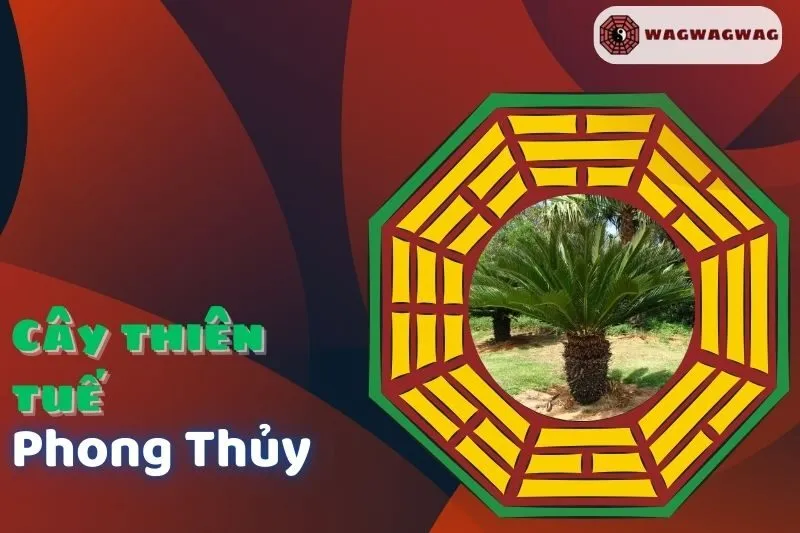 Cây Thiên Tuế Phong Thủy: Ý Nghĩa, Cách Trồng Và Hợp Mệnh Nào