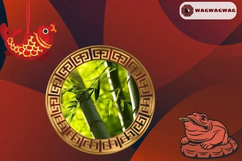 Cây tre phong thủy hợp mệnh nào