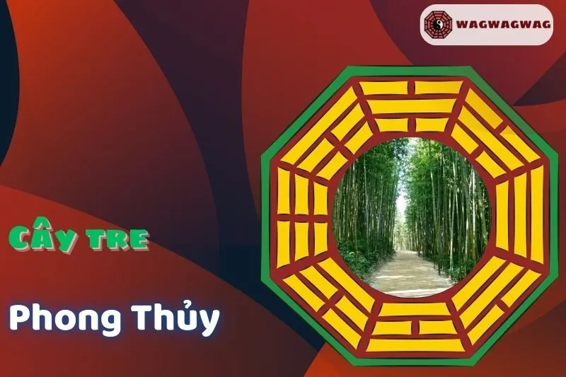 Cây tre phong thủy: Ý nghĩa, cách trồng và hợp mệnh nào