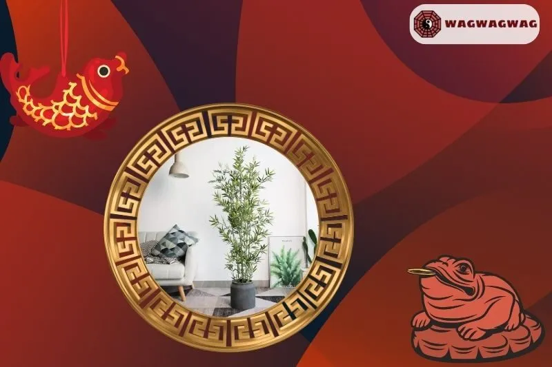 Cây trúc quân tử hợp với mệnh và tuổi nào?