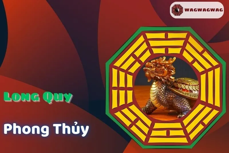 Cách Đặt Long Quy Phong Thủy Đúng Cách Để Hút Tài Lộc Và May Mắn