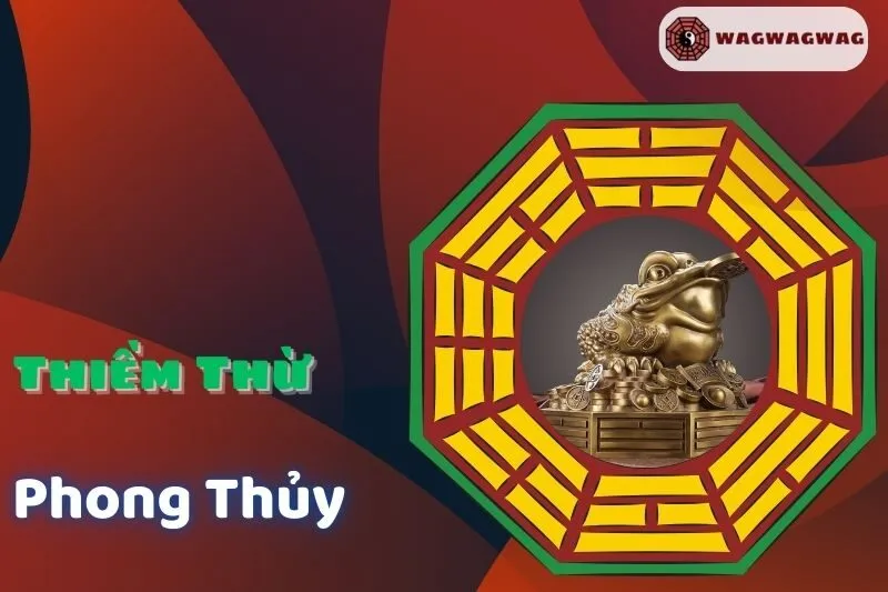 Thiềm Thừ Phong Thủy: Cách Đặt Chuẩn và Ý Nghĩa Tài Lộc
