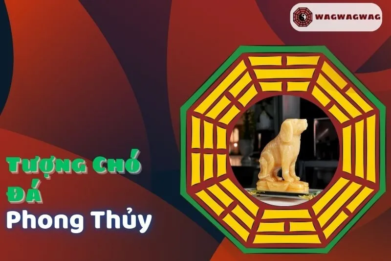 Tượng Chó Đá Phong Thủy: Ý Nghĩa, Cách Đặt Và Những Điều Kiêng Kỵ