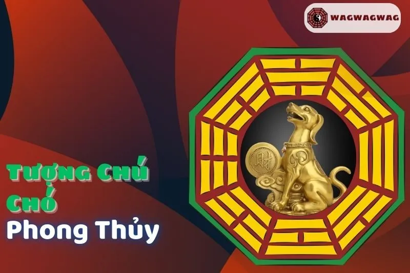 Tượng chú chó phong thuỷ: Ý nghĩa, cách đặt thu hút tài lộc và bảo vệ gia đình