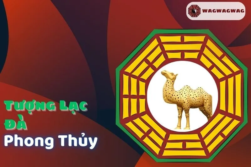 Tượng Lạc Đà Phong Thủy: Ý Nghĩa, Cách Đặt Và Hợp Tuổi Nào