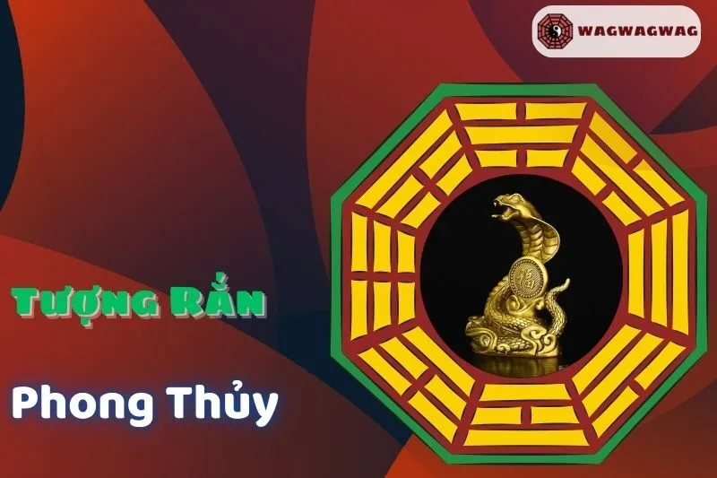 Tượng Rắn phong thủy: Ý nghĩa, cách bài trí và hợp tuổi nào