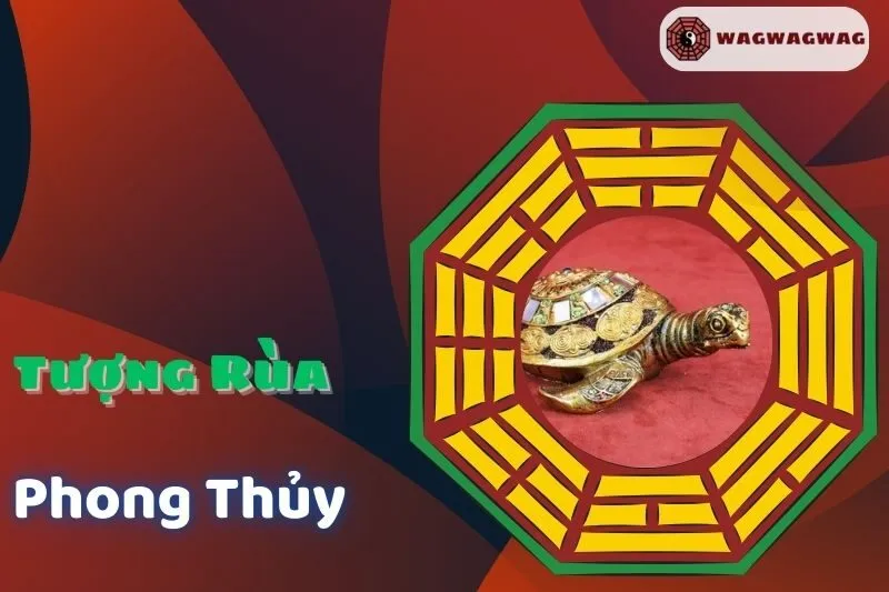 Tượng Rùa Phong Thủy: Ý Nghĩa, Cách Đặt và Hợp Tuổi