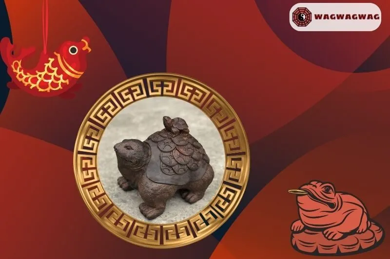 Cách Đặt Tượng Rùa Phong Thủy Đúng Vị Trí