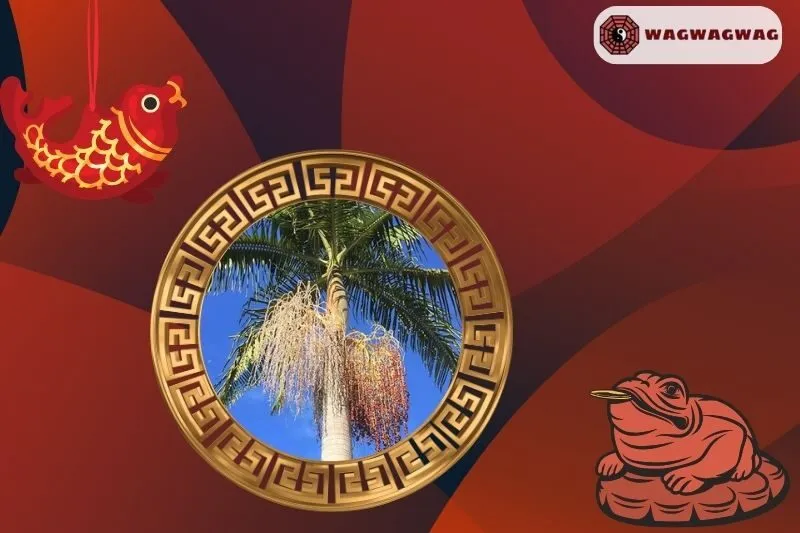 Ý nghĩa của cây cau vua phong thủy