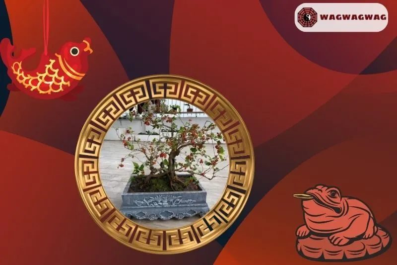 Ý nghĩa phong thủy của cây dâu tằm